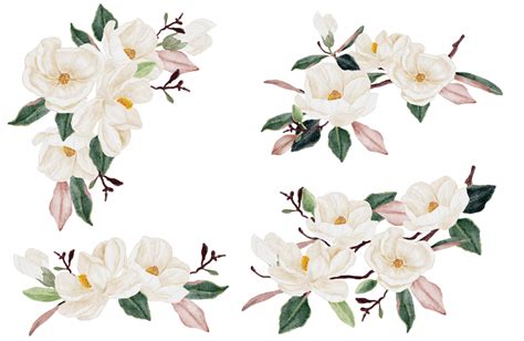 Magnolia Branch Clip Art