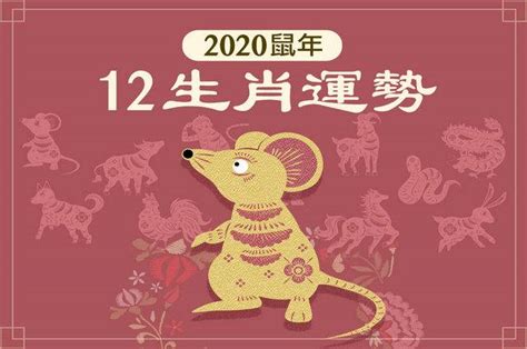 庚子潤祥年，揭曉2020年12生肖運勢 | 科技紫微網 | LINE TODAY