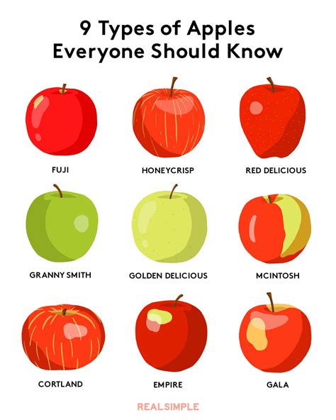 Red Apple Varieties