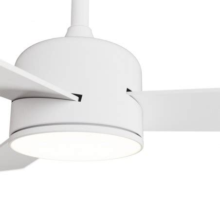 LED Ceiling Fan Baloo Evo S CCT Dim (20W) - Wonderlamp.shop