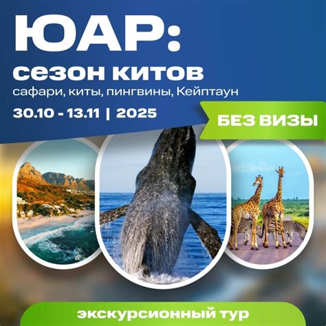 Новая поездка - ноябрь 2025 Открываем набор в группу ЮАР: сезон китов ...