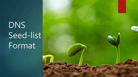 Image result for MongoDB Connection String