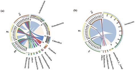 Microorganisms | Special Issue : Advances in Plant-Microbe Interactions