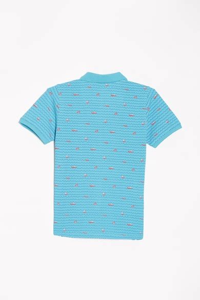 Buy Boys Blue Regular Fit Printed Polo Neck T-shirt Online - 39831470 ...