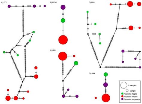 Novel Molecular Resources to Facilitate Future Genetics Research on ...
