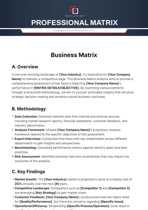 Image result for Business Matrix Example