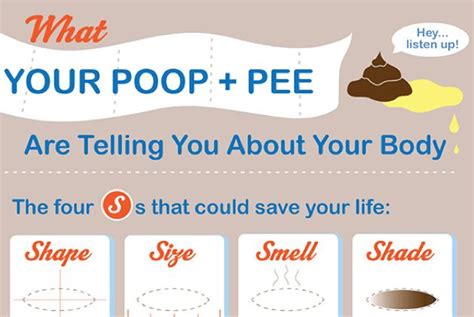 Image result for Poop Cat Exploding