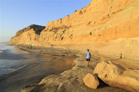 Colleges and Universities for Beach Lovers