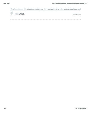 Fillable Online WPF Report The Scoring of America: How Secret Consumer ...