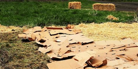 Permaculture - Agriculture Notes