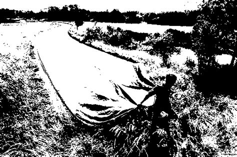 Python Save Bitmap 的图像结果