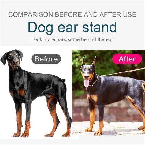 Ziyue Doberman Dog Ear Posting Kit, Dog Ear Stand Up India | Ubuy