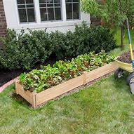 Image result for Wooden Raised Garden Bed Planter