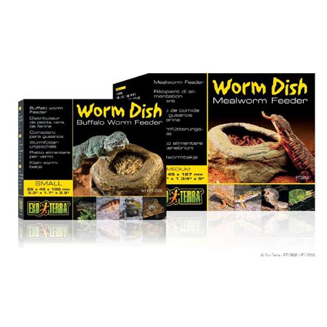 Transparent Reptile Feeder Reptile Anti-Escape Food Dish - Transparent ...