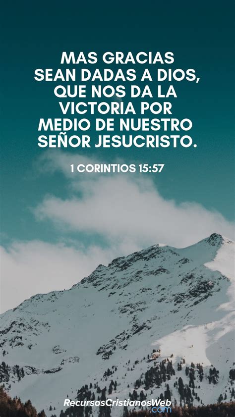 30 versículos de agradecimiento a dios textos bíblicos – Artofit