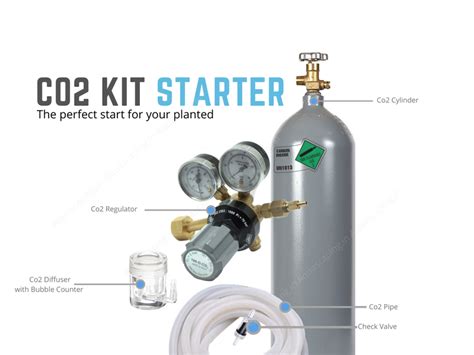 Aquascaping Co2 Kit Starter 2 Kg - Includes Shipping India