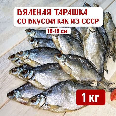 Тарашка густера вяленая 1 кг рыба сушеная астраханская тарань закуска ...