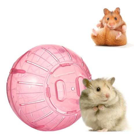 Western Era Hamster Exercise Ball Transparent, Attractive & Training ...