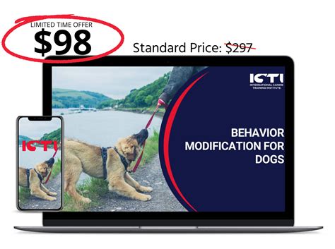 Image result for Behavior Modification for Dogs