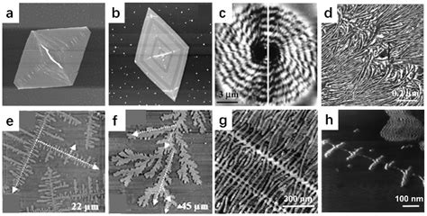 Recent Progress on the Characterization of Polymer Crystallization by ...