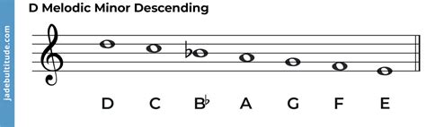 Image result for D Note Sound