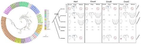 Ecology and Evolutionary Biology