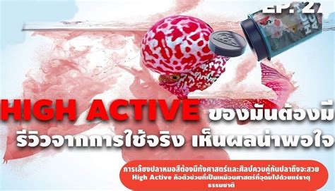 Buy 6 X Thai Mineral High Active Fish Cichlid Goldfish Food Competition ...