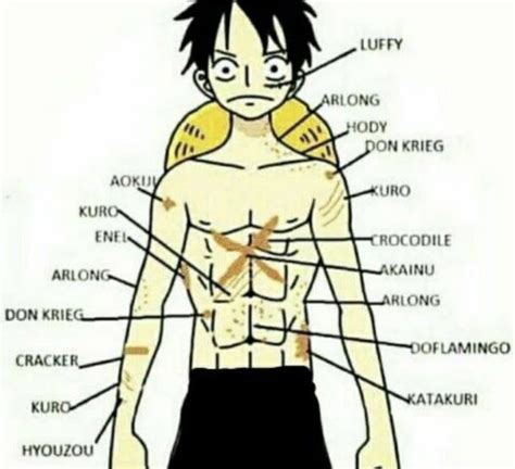 What Is The X Mark On Luffy's Chest