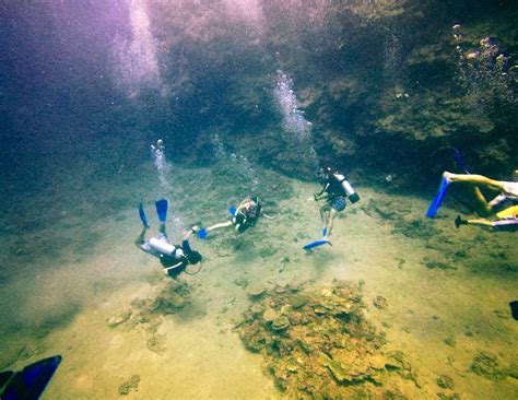 SAMOA DIVE & SNORKEL (2026) All You Need to Know BEFORE You Go (with ...