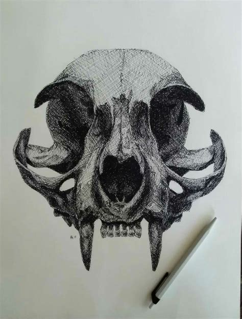 Skull - Drawing Skill