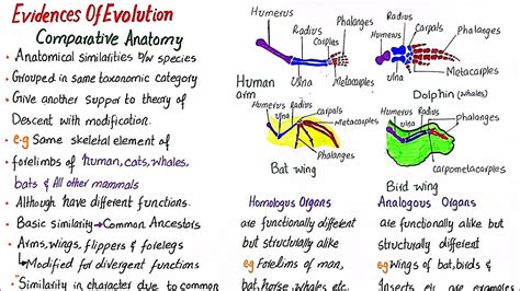 Evidence of Evolution 的图像结果