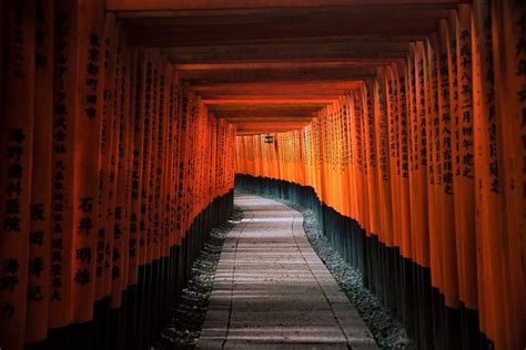 Torii of Fushimi Inari Taisha by Maarten Mensink on canvas, poster ...