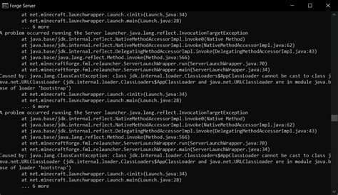 Image result for Server Launcher.java.lang.reflect.invocationtargetexception