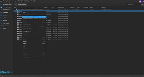 Image result for Enable Version Control Window Unity