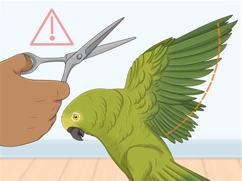 Image result for Primitive Catching Bird