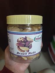 BELLANUTS Brazil Nuts, 250g | Luxurious Quality Brazil Nut Dry fruits ...