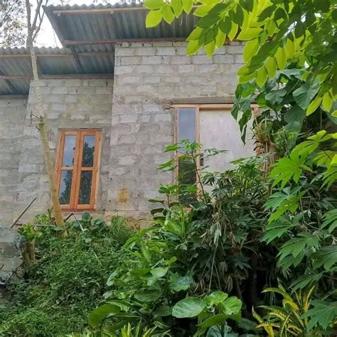 House Sale In Hanwella | House Detail - Ikman Selling