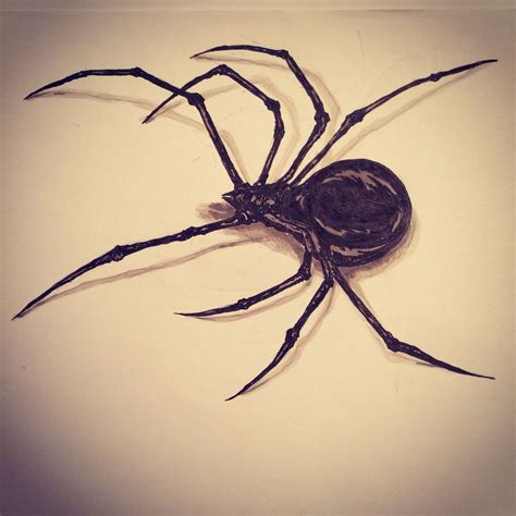 Scary Spider Drawing at GetDrawings | Free download