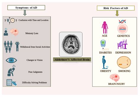 A Novel Diagnostic Framework with an Optimized Ensemble of Vision ...