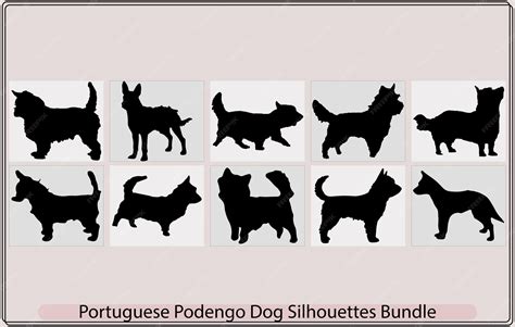 Premium Vector | Portuguese podengo pequeno dog silhouettecolorful ...