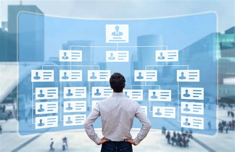 Projectized Organization Structure 的图像结果