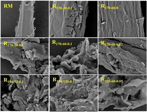 Simultaneous and Efficient Production of Furfural and Subsequent ...