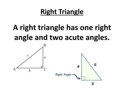 Image result for Triangle Class 9 Examples