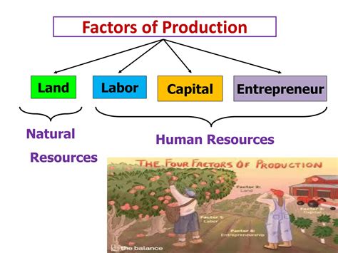 Basic Economics Concepts 的图像结果