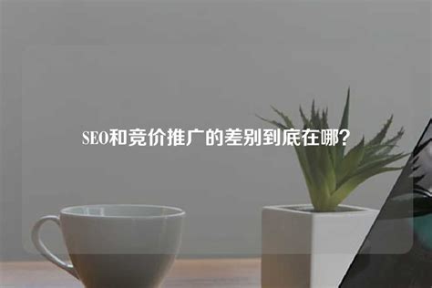 竞价专员和SEO优化(seo和竞价推广哪个效果好)"竞价专员和SEO优化" - seo竞价 - 第七软件网