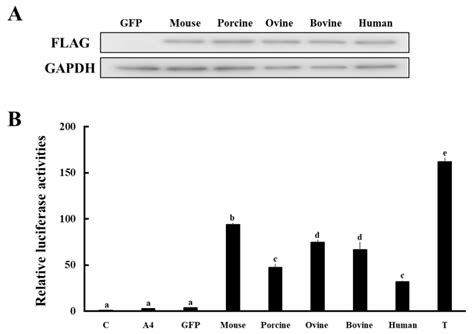 Comparison of Placental HSD17B1 Expression and Its Regulation in ...