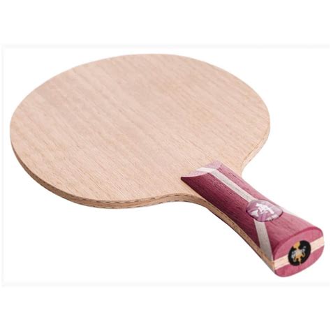 DHS Fang Bo Carbon B2X Table Tennis Blade – Sportswing.in
