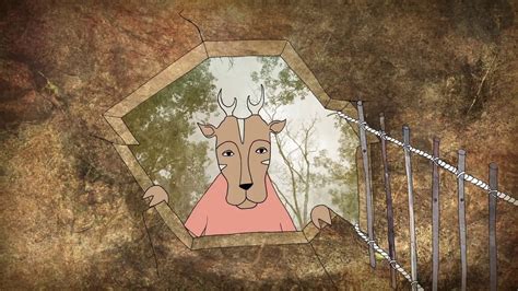 Empathy Vs Sympathy Brene Brown The Teacher's Guide To The Brené