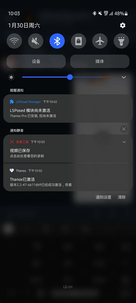 Image result for One UI Magisk Module