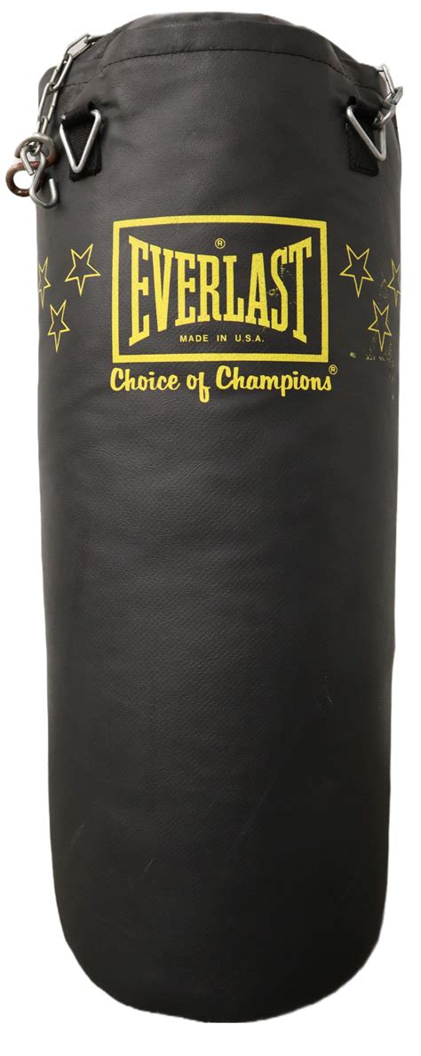 Everlast Punching Bag